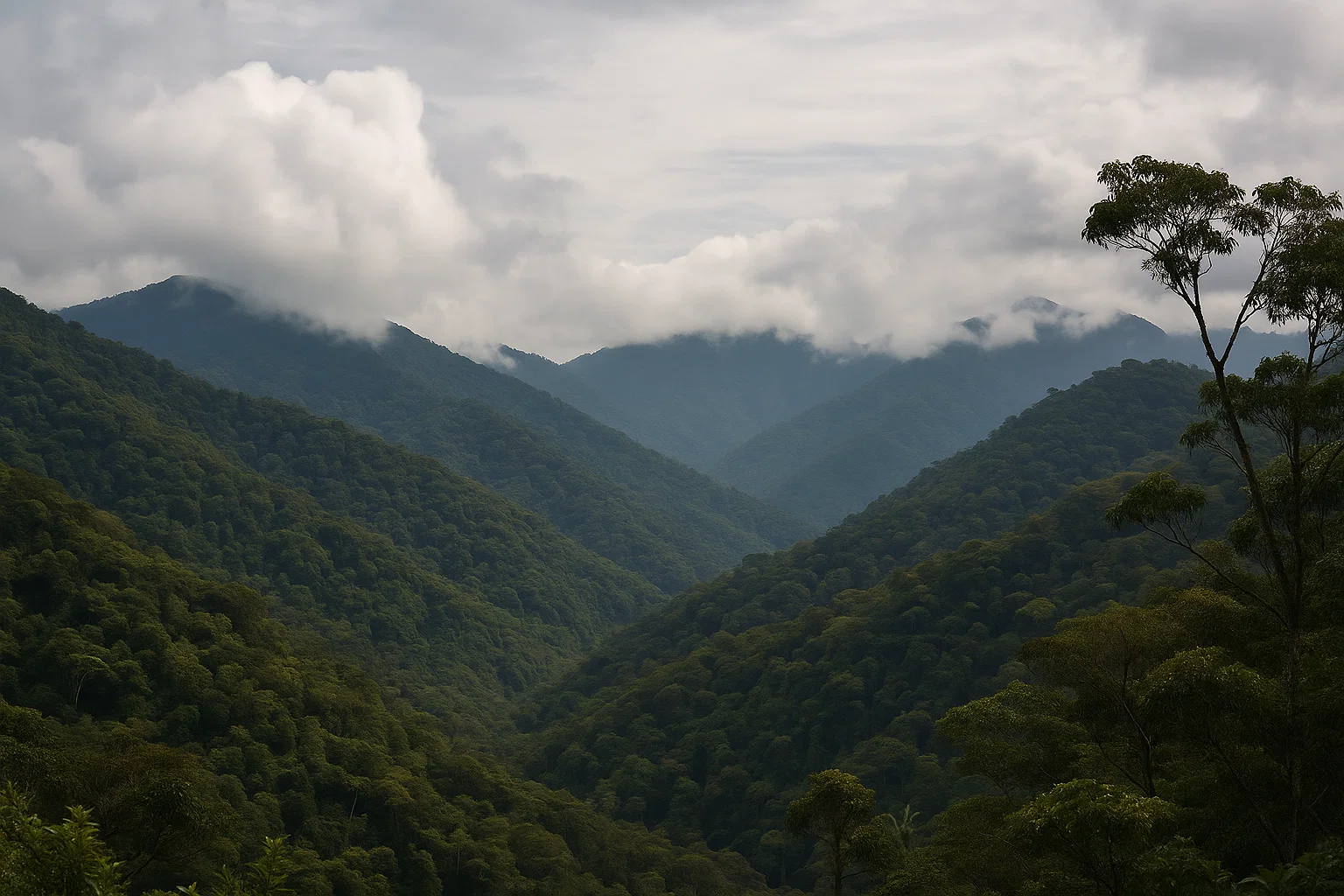 Parque Internacional La Amistad